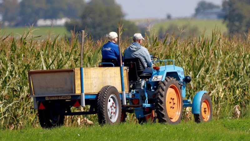Российские супермаркеты получат специальные зоны для сельхозпроизводителей