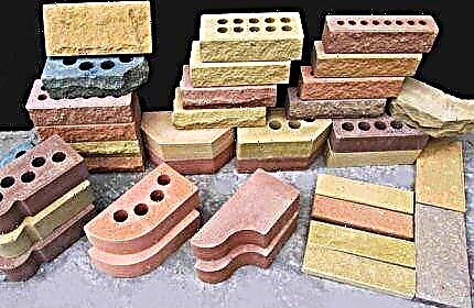 Тротуарная плитка: виды, особенности укладки