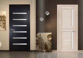 Советы по выбору двери из экошпона