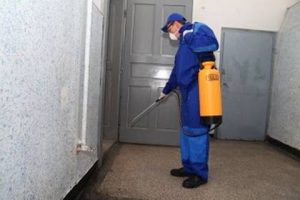 Обработка квартиры от тараканов: преимущества обращения к профессионалам
